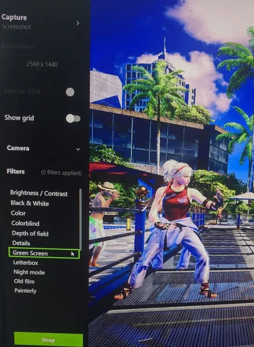 nvidia-ansel-filters.jpg.webp.jpg